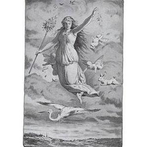 3131cbd5c5f1fb0836df0a5ca82456ac