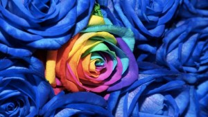 shutterstock_63328546